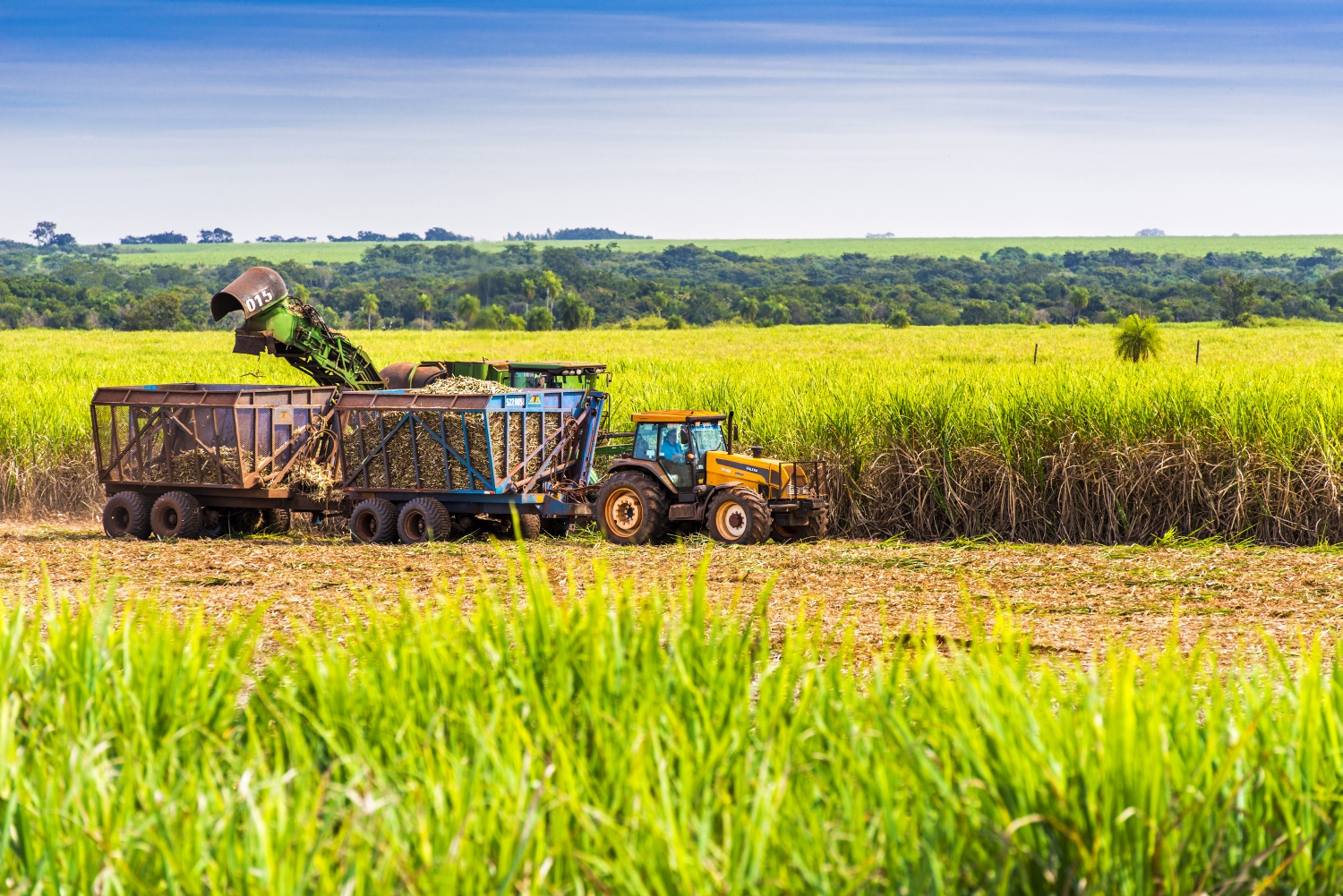 GAtec lança plataforma completa de gerenciamento agrícola