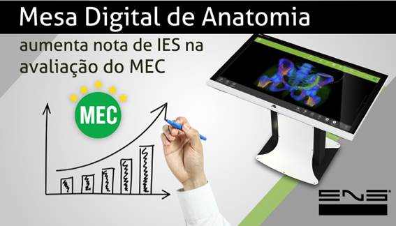 Mesa Digital de Anatomia pode aumentar a nota de IES na avaliação do MEC