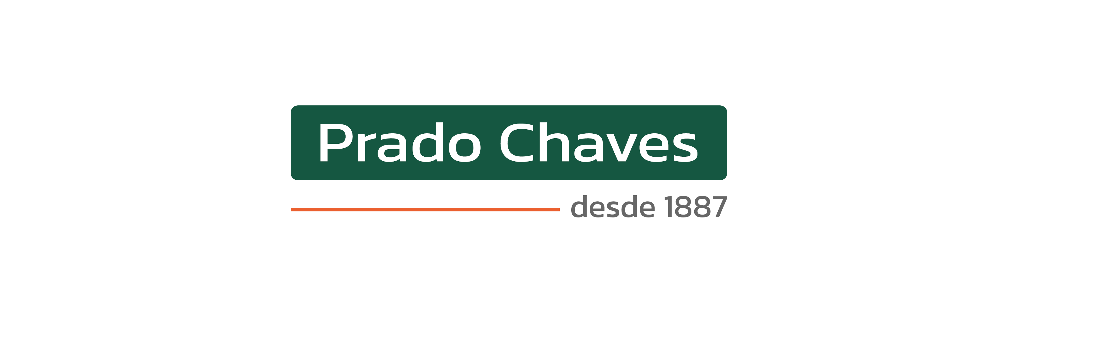 Prado Chaves é a nova Associada ABEINFO