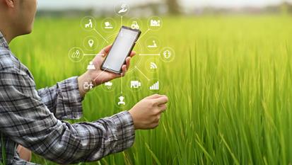 Inovação no campo: o poder da Inteligência Artificial no agronegócio